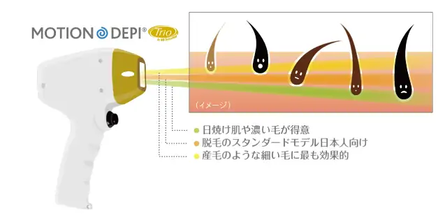 細い毛から太い毛まで幅広く対応可能